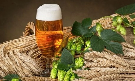 精釀啤酒中，如何選擇恰當(dāng)?shù)慕湻椒ǎ?> </a>
    </dt> 
    <dd> 
     <h4><a href=